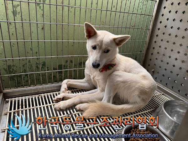 한국동물구조관리협회_441559202401201